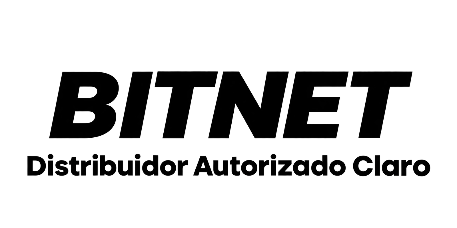 bitnetec.com